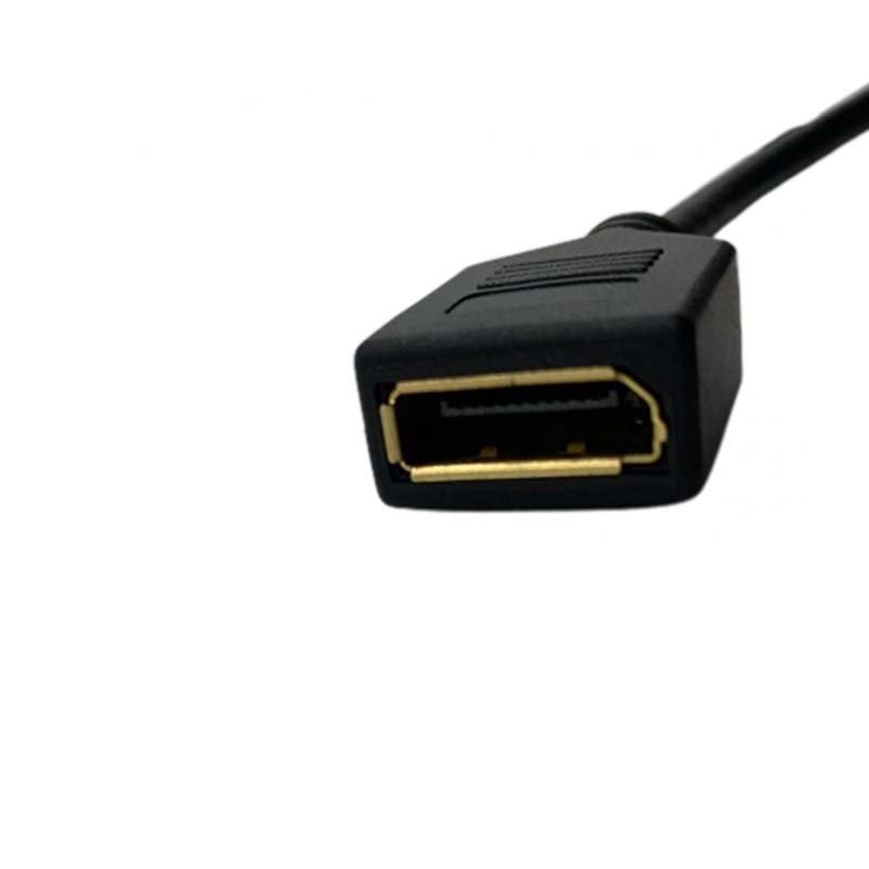 STORM Câble Adaptateur HDMI vers DisplayPort