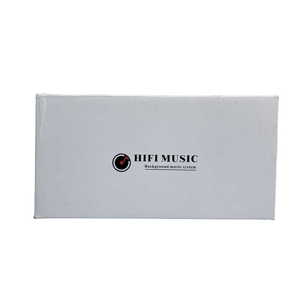 Mini Système d'Amplificateur