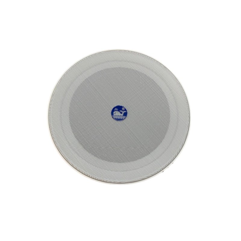Haut-parleur de plafond BCSS-503 Haut-parleur mural de plafond enceintes bluetooth prix maroc