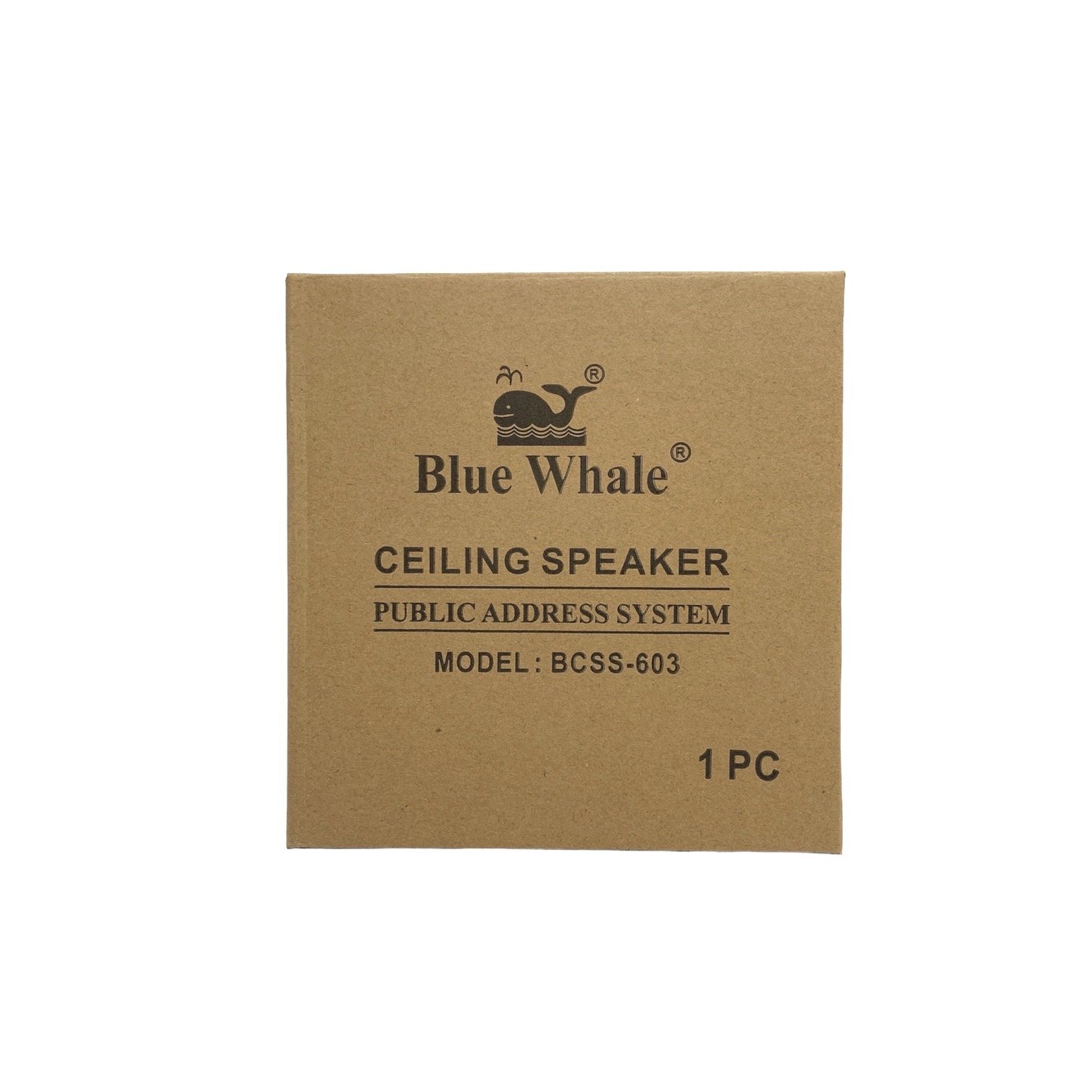 BCSS-603 Haut-parleur de plafond Haut-parleur de plafond